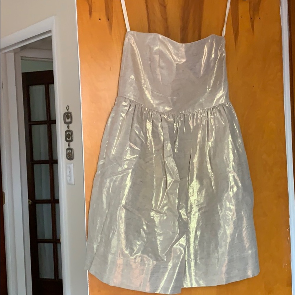 Strapless Shoshanna dress